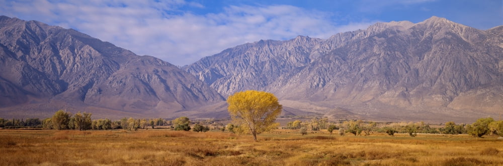 Autumn color along Highway 395 Sierra Nevada California Canvas Art - Panoramic Images (36 x 12)