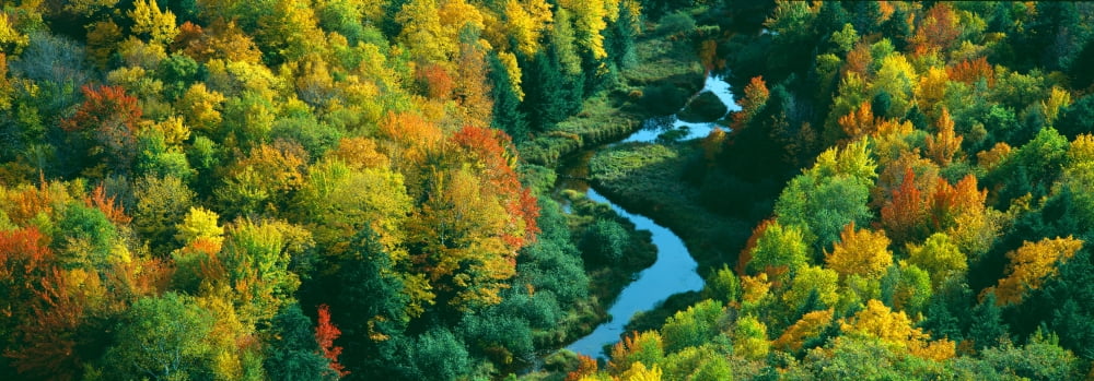 Autumn color at Porcupine State Park Michigans Upper Peninsula Michigan Canvas Art - Panoramic Images (12 x 36)