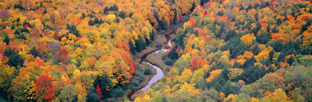 Autumn color at Porcupine State Park Michigans Upper Peninsula Michigan Canvas Art - Panoramic Images (27 x 9)