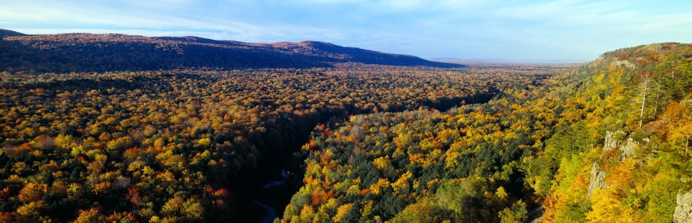 Autumn color at Porcupine State Park Michigans Upper Peninsula Michigan Canvas Art - Panoramic Images (27 x 9)