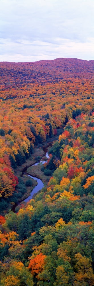 Autumn color at Porcupine State Park Michigans Upper Peninsula Michigan Canvas Art - Panoramic Images (36 x 12)
