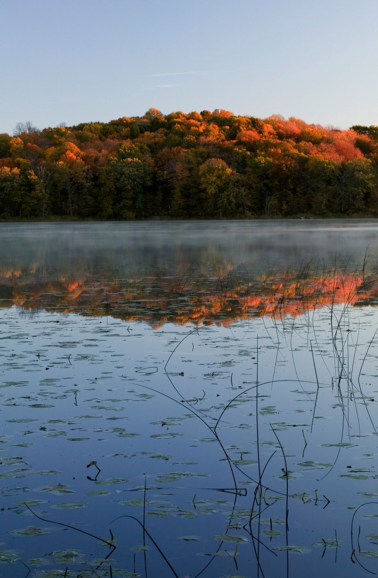 Autumn color forest reflected in Grass Lake Maplewood State Park Minnesota USA Canvas Art - Panoramic Images (18 x 12)