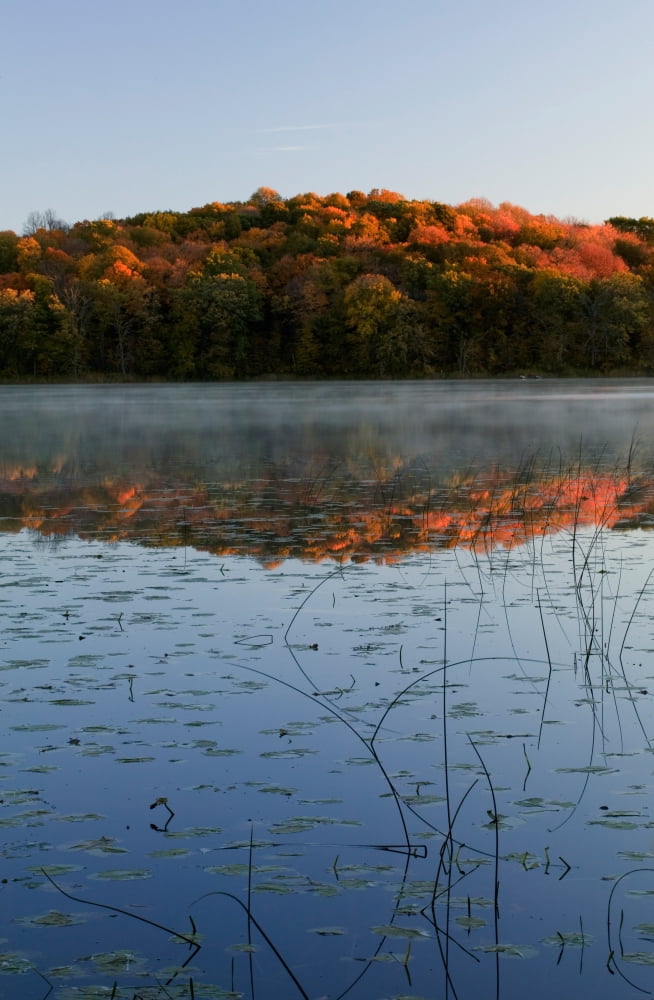 Autumn color forest reflected in Grass Lake Maplewood State Park Minnesota USA Canvas Art - Panoramic Images (36 x 24)