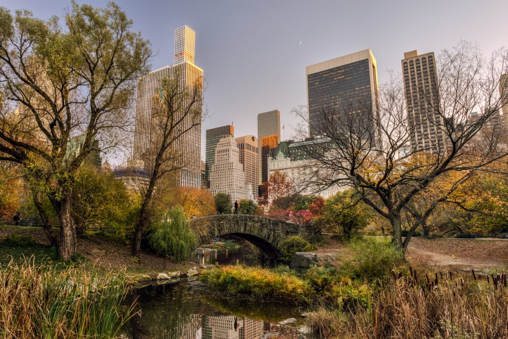 Autumn coloured foliage around Gapstow Bridge Central Park New York City New York United States of America Canvas Art - F M Kearney Design Pics (19 x 12)