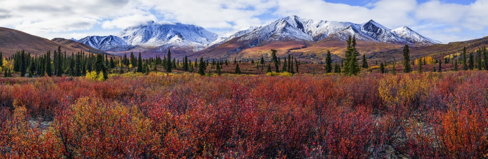 Autumn colours brighten the landscape in Tombstone territorial Park along the Dempster highway Yukon Canada Canvas Art - Robert Postma Design Pics (37 x 12)