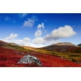 thumbnail image 1 of Autumn colours on the tundra Kesugi Ridge Denali State Park; Alaska United States of America by Amber Johnson / Design Pics, 1 of 3
