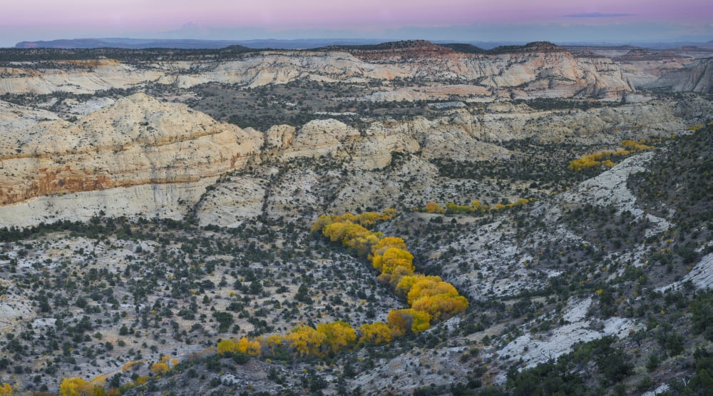 Autumn cottonwood trees outline the Deer Creek drainage from Highway 12 Grand Staircase-Escalante National Monument Utah USA Canvas Art - Panoramic Images (24 x 14)