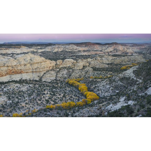 Autumn cottonwood trees outline the Deer Creek drainage from Highway 12 Grand Staircase-Escalante National Monument Utah USA Canvas Art - Panoramic Images (24 x 14)