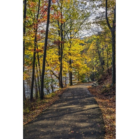 Posterazzi DPI12275713 Autumn Foliage in Bear Mountain State Park - Bear Mountain New York United States of America Poster Print - 12 x 19 in.