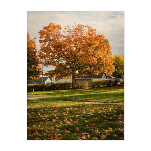 Autumn in Angola - Angola New York Photography Autumn Nature Landscape Scenic Botanical Woodland Rural Unframed Wall Art Print 20 x 28 inches