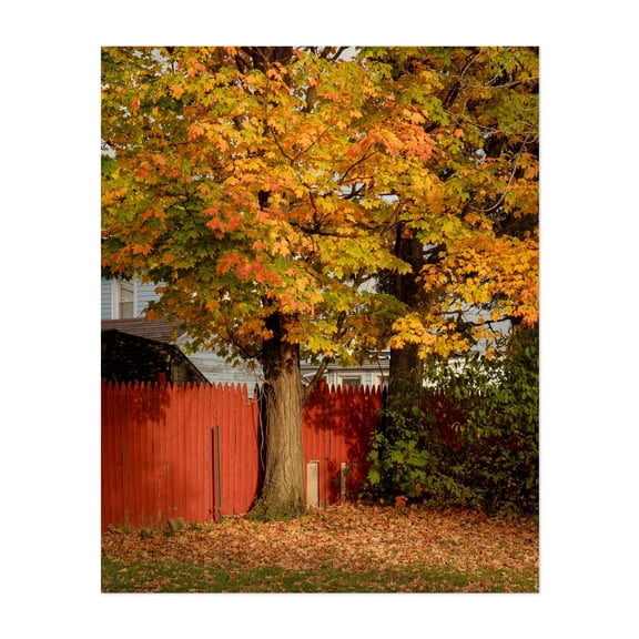 Autumn in Dunkirk - Dunkirk New York Photography Autumn Nature Rural Woodland Scenic Botanical Rustic Unframed Wall Art Print 6 x 8 inches
