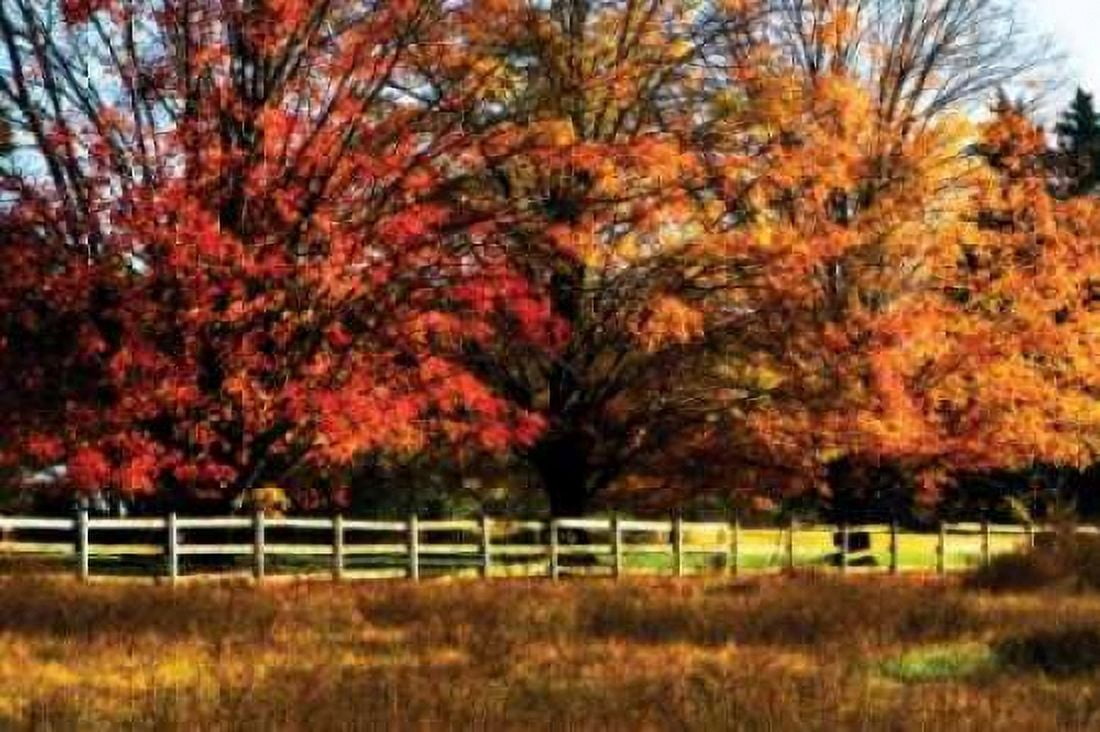 Autumn in the Fields Canvas Art - Alan Hausenflock (12 x 18)