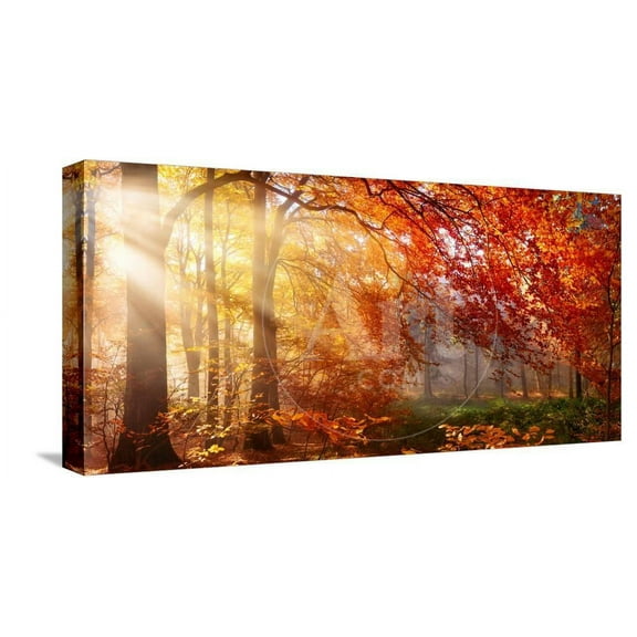 Autumn in the Forest, Sunrays Fall Through Mist and a Beautiful Red Tree, Scenic Stretched Canvas Wall Art by Smileus Images  Sold by ArtCom