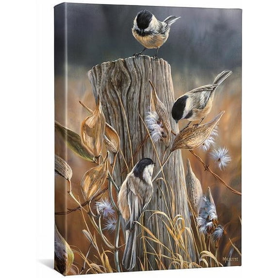 Autumn—Black Capped Chickadee