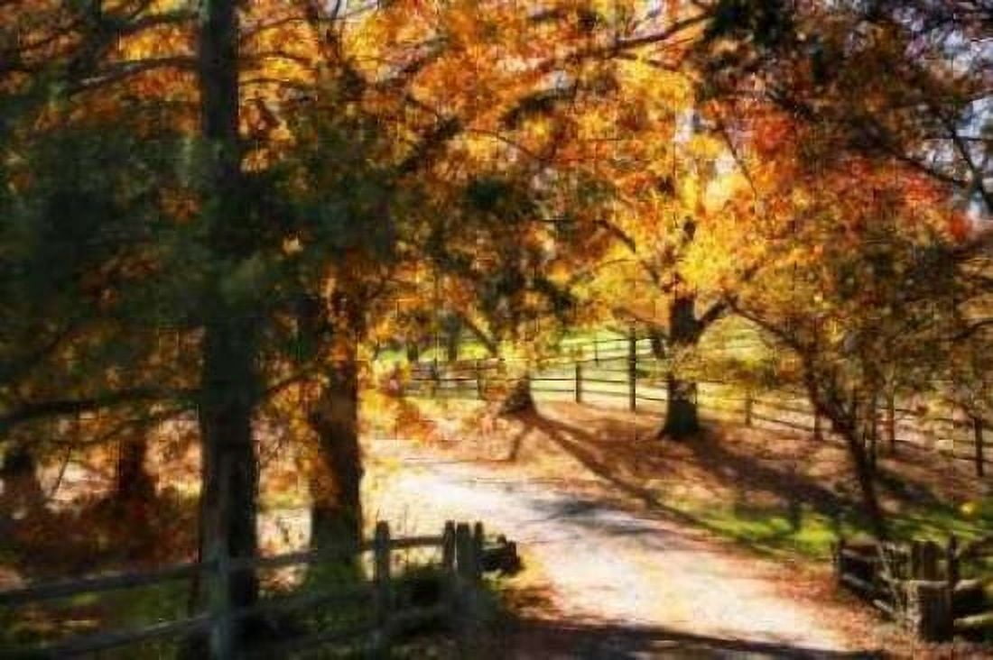 Autumn on Kent Farm I Canvas Art - Alan Hausenflock (20 x 28)