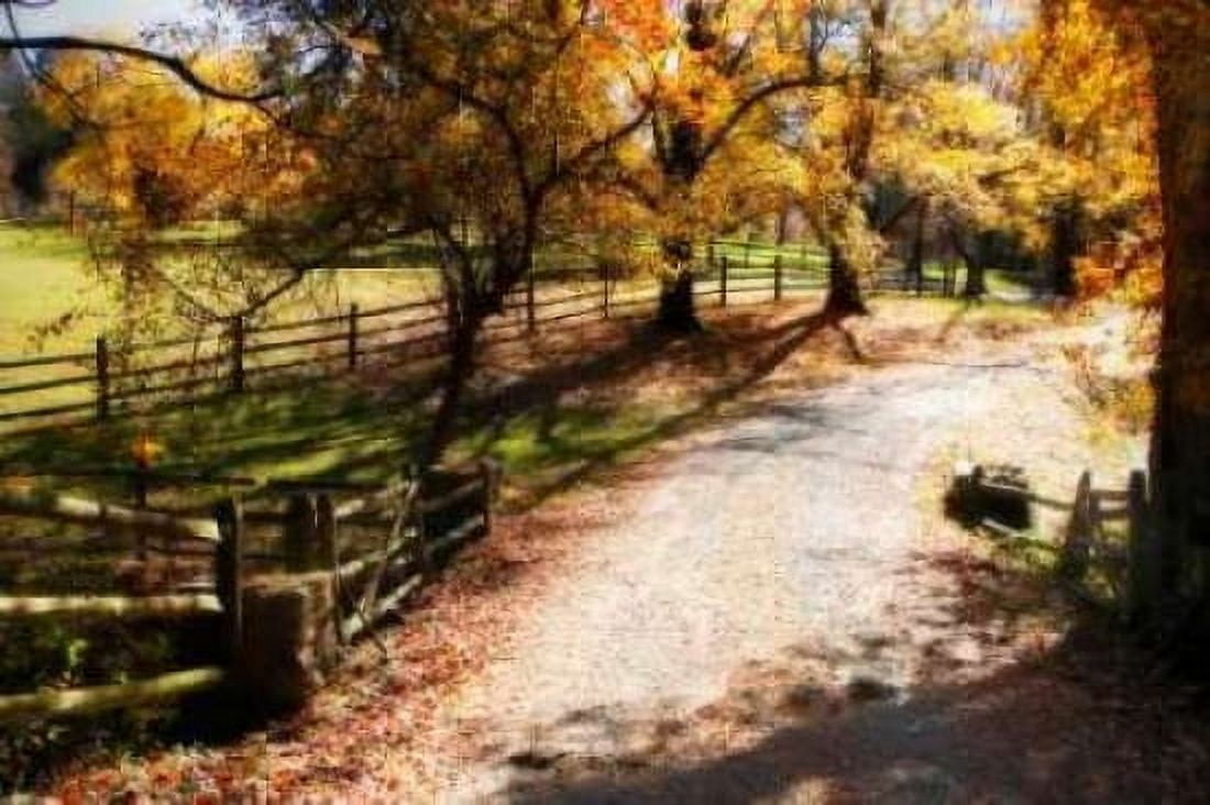 Autumn on Kent Farm II Canvas Art - Alan Hausenflock (20 x 28)