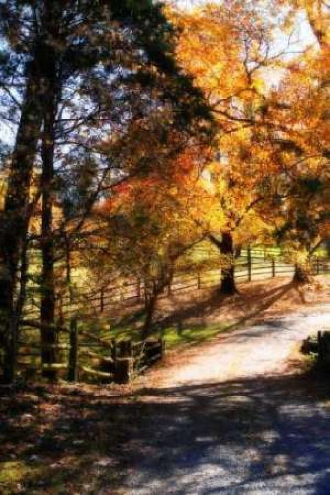 Autumn on Kent Farm III Canvas Art - Alan Hausenflock (20 x 28)