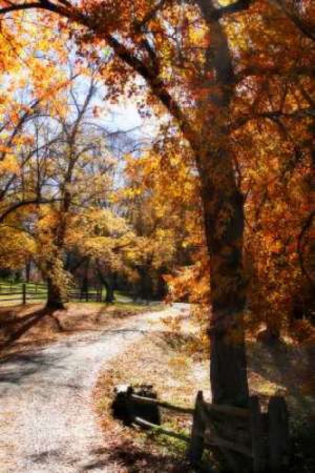 Autumn on Kent Farm IV Canvas Art - Alan Hausenflock (20 x 28)