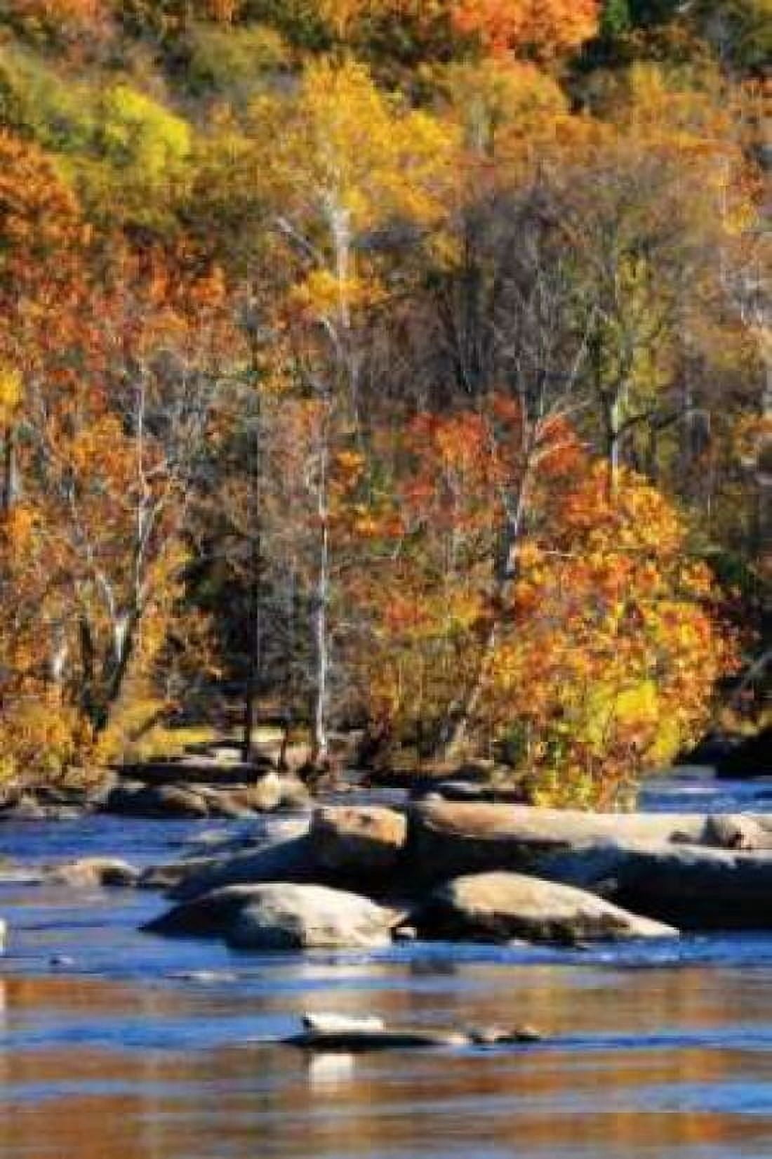 Autumn on the River I0 Canvas Art - Alan Hausenflock (20 x 28)