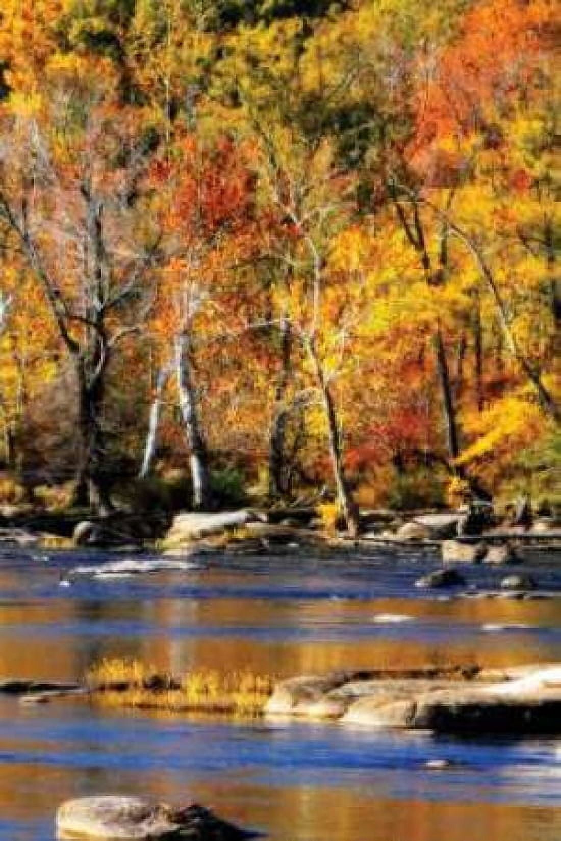 Autumn on the River I2 Canvas Art - Alan Hausenflock (20 x 28)