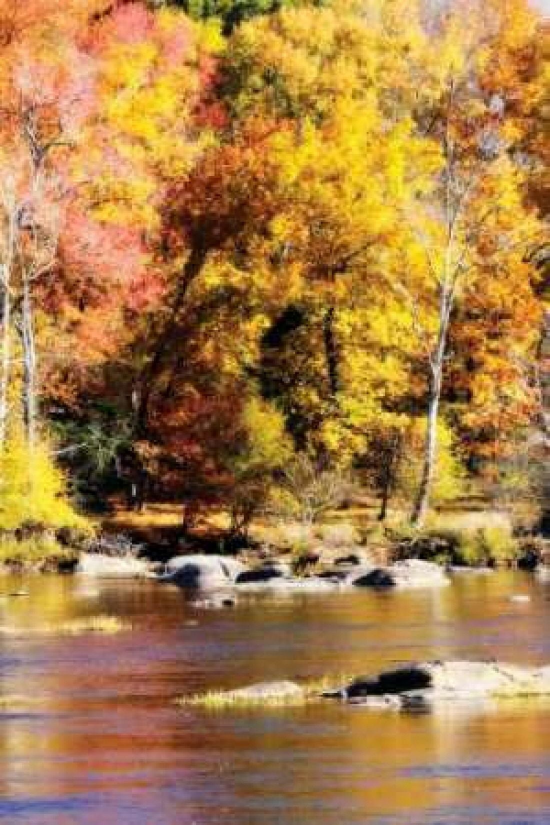 Autumn on the River II Canvas Art - Alan Hausenflock (20 x 28)