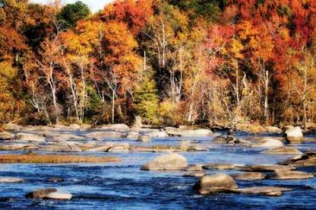 Autumn on the River II Canvas Art - Alan Hausenflock (20 x 28)