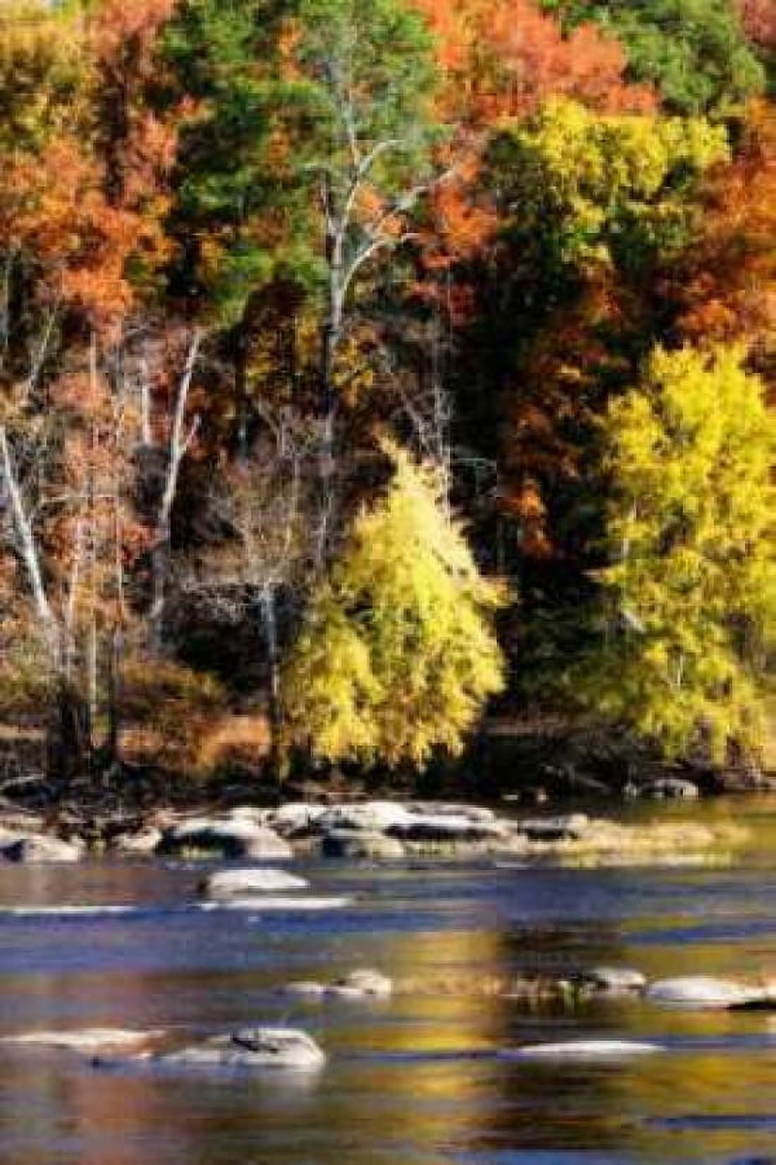 Autumn on the River IX Canvas Art - Alan Hausenflock (20 x 28)