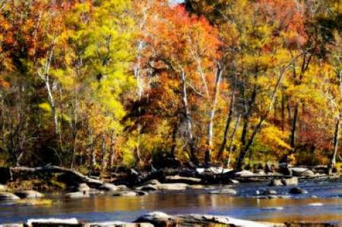 Autumn on the River VIII Canvas Art - Alan Hausenflock (20 x 28)
