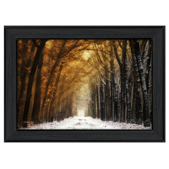 TrendyDecor4U Autumn To Winter By Martin Podt Printed Wall Art MPP154-405