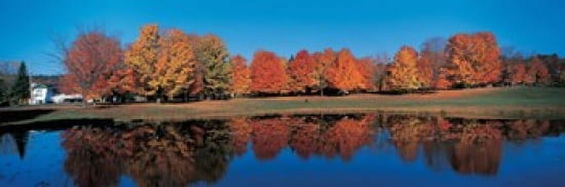 Autumn trees Laurentide Quebec Canada Canvas Art - Panoramic Images (36 x 12)