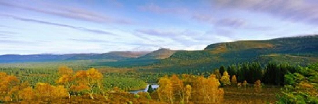 Autumn trees at Loch an Eilein Rothiemurchus Forest Aviemore Cairngorms National Park Highlands Region Scotland Canvas Art - Panoramic Images (18 x 6)