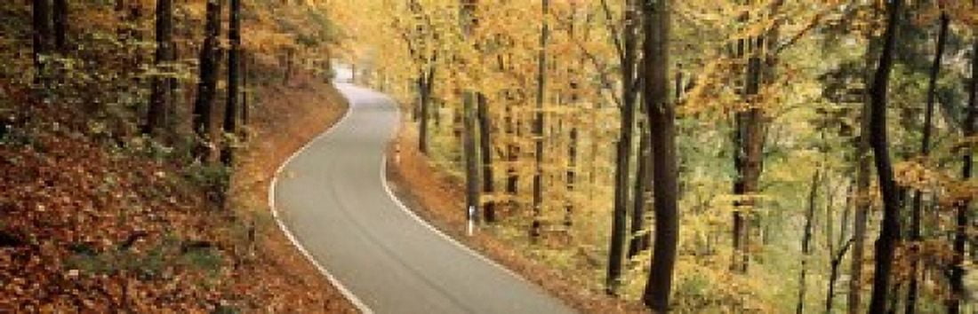 Autumn trees along a road Germany Canvas Art - Panoramic Images (18 x 6)