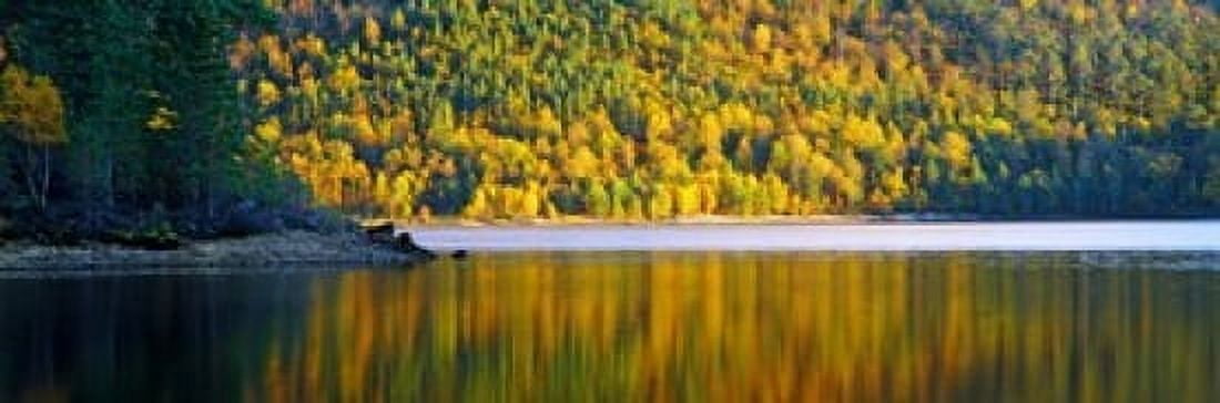 Autumn trees at Loch Beinn a Mheadhoin Glen Affric Highlands Region Scotland Canvas Art - Panoramic Images (36 x 12)