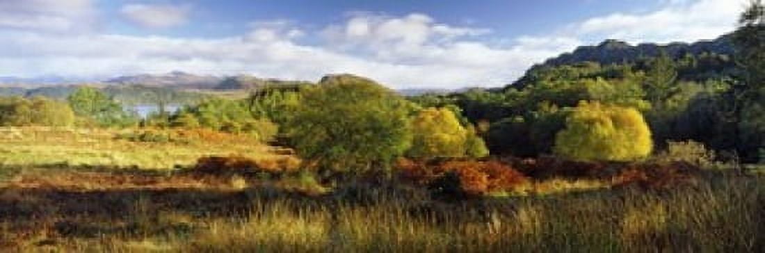 Autumn trees at Loch Carron Ardnarff Highlands Region Scotland Canvas Art - Panoramic Images (36 x 12)