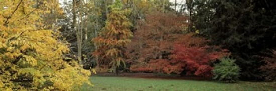 Autumn trees in Westonbirt Arboretum Gloucestershire England Canvas Art - Panoramic Images (18 x 6)