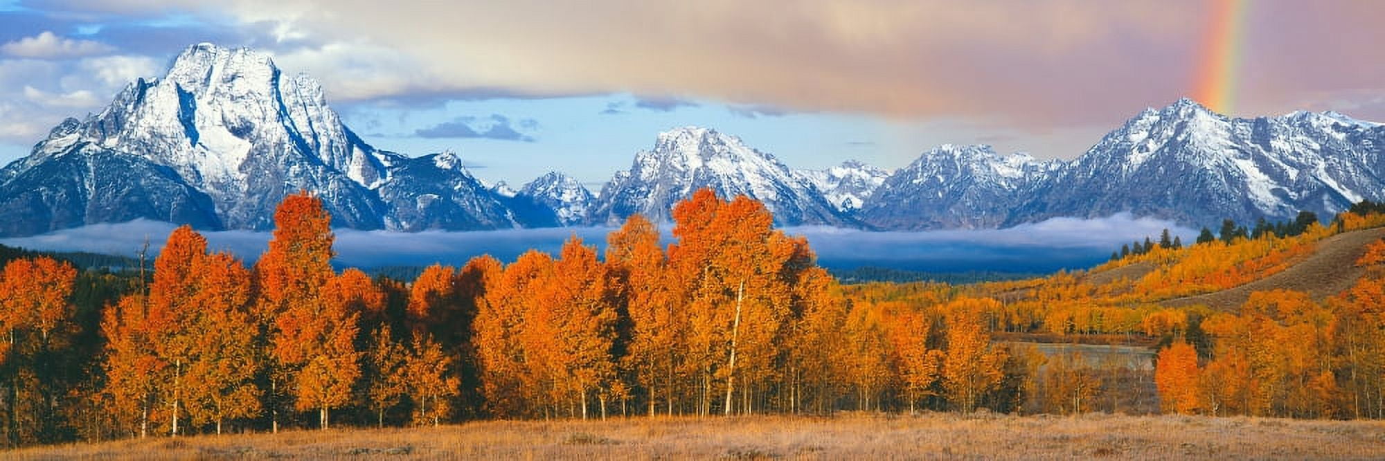 Autumn trees with mountain range in the background Oxbow Bend Teton Range Grand Teton National Park Wyoming USA Canvas Art - Panoramic Images (27 x 9)
