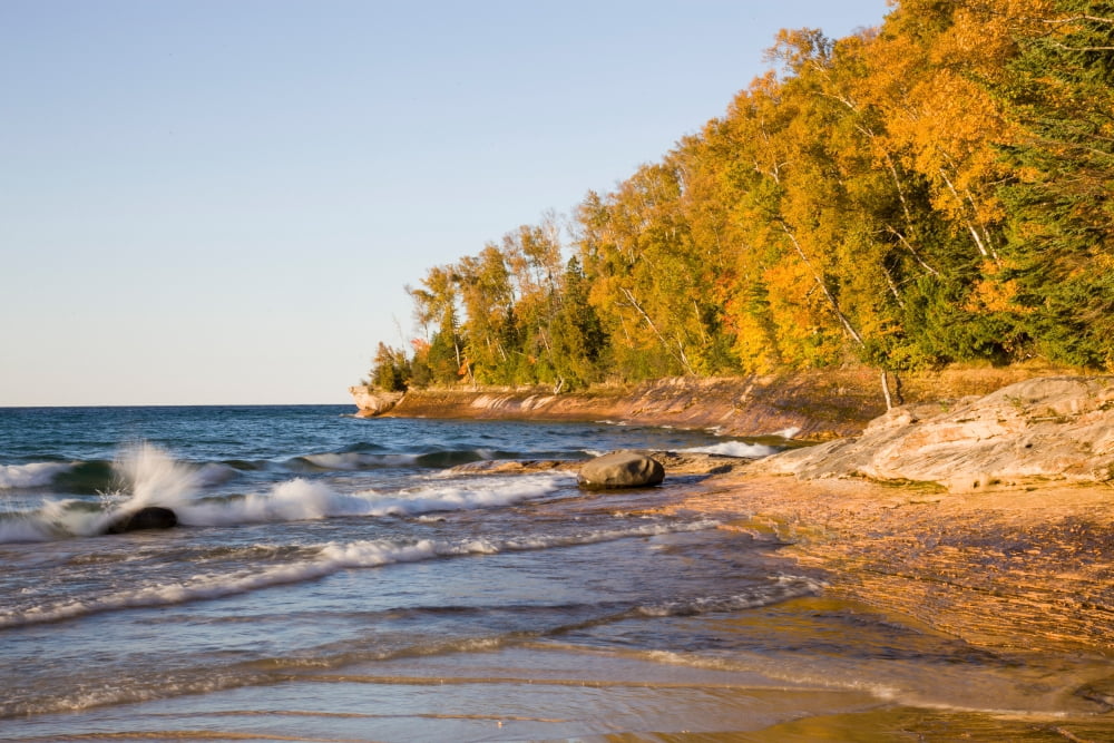 Autumn trees on the coast Miners Beach Pictured Rocks National Lakeshore Alger County Michigan USA Canvas Art - Panoramic Images (18 x 24)