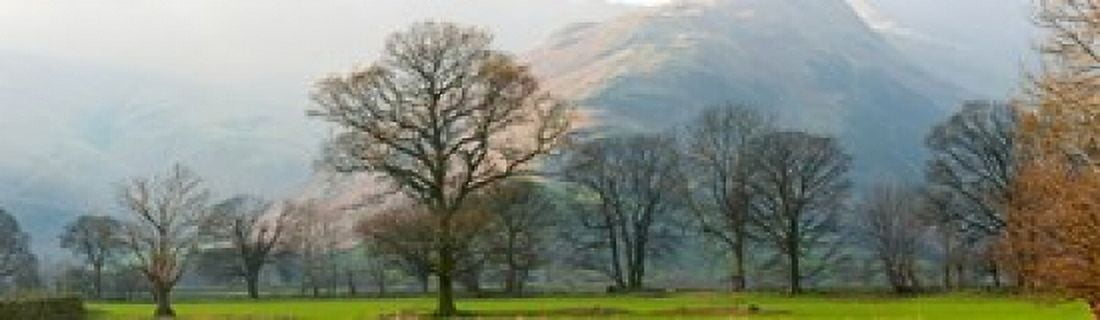 Autumn trees with mountain in the background Langdale Lake District National Park Cumbria England Canvas Art - Panoramic Images (40 x 12)