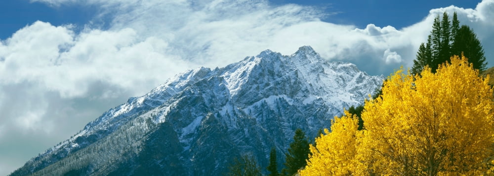 Autumn trees with mountain peak in the background Rockchuck Peak Grand Teton National Park Wyoming USA Canvas Art - Panoramic Images (36 x 12)
