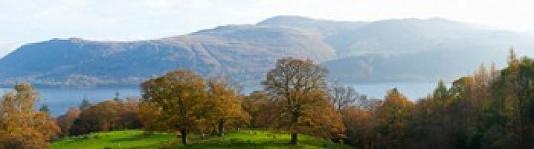 Autumn trees with mountains in background Derwent Water Lake District National Park Cumbria England Canvas Art - Panoramic Images (20 x 6)