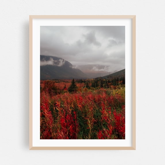 Autumn up North III - Alaska Photography Autumn Nature Landscape Scenic ...
