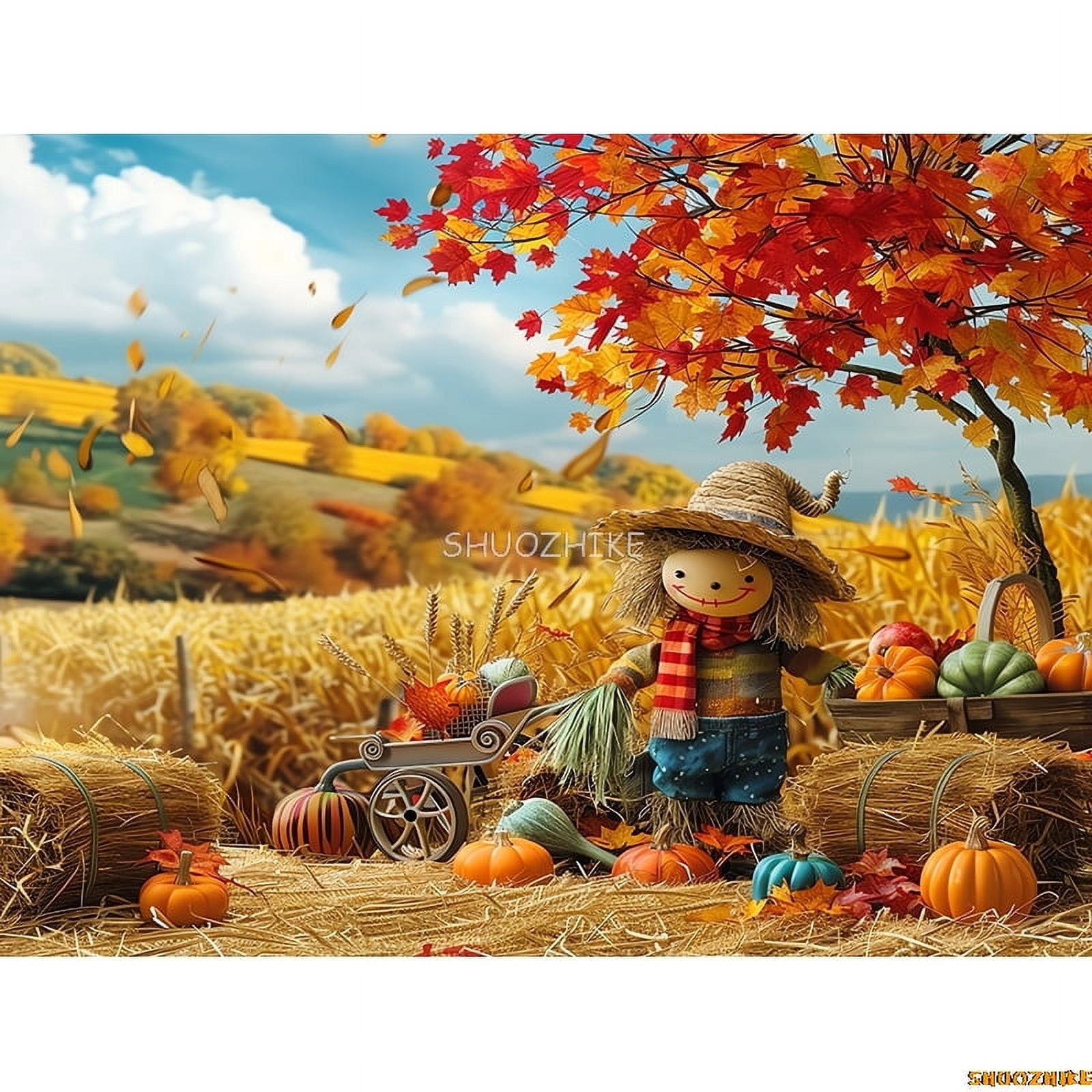 Autumnal Pumpkins Farm Photography Backdrops Props Hallowe Fall Field ...