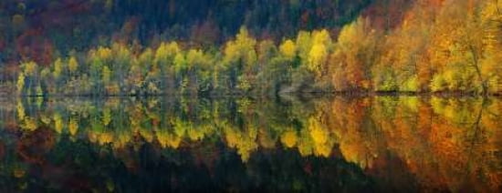 Autumnal Silence Canvas Art - Burger Jochen (10 x 20)