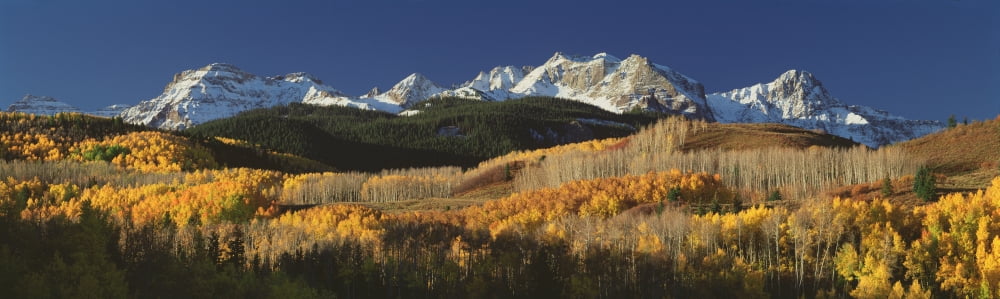Autumnal View Of Aspen Trees And The Rocky Mountains San Juan National Park Colorado USA Canvas Art - Panoramic Images (36 x 12)