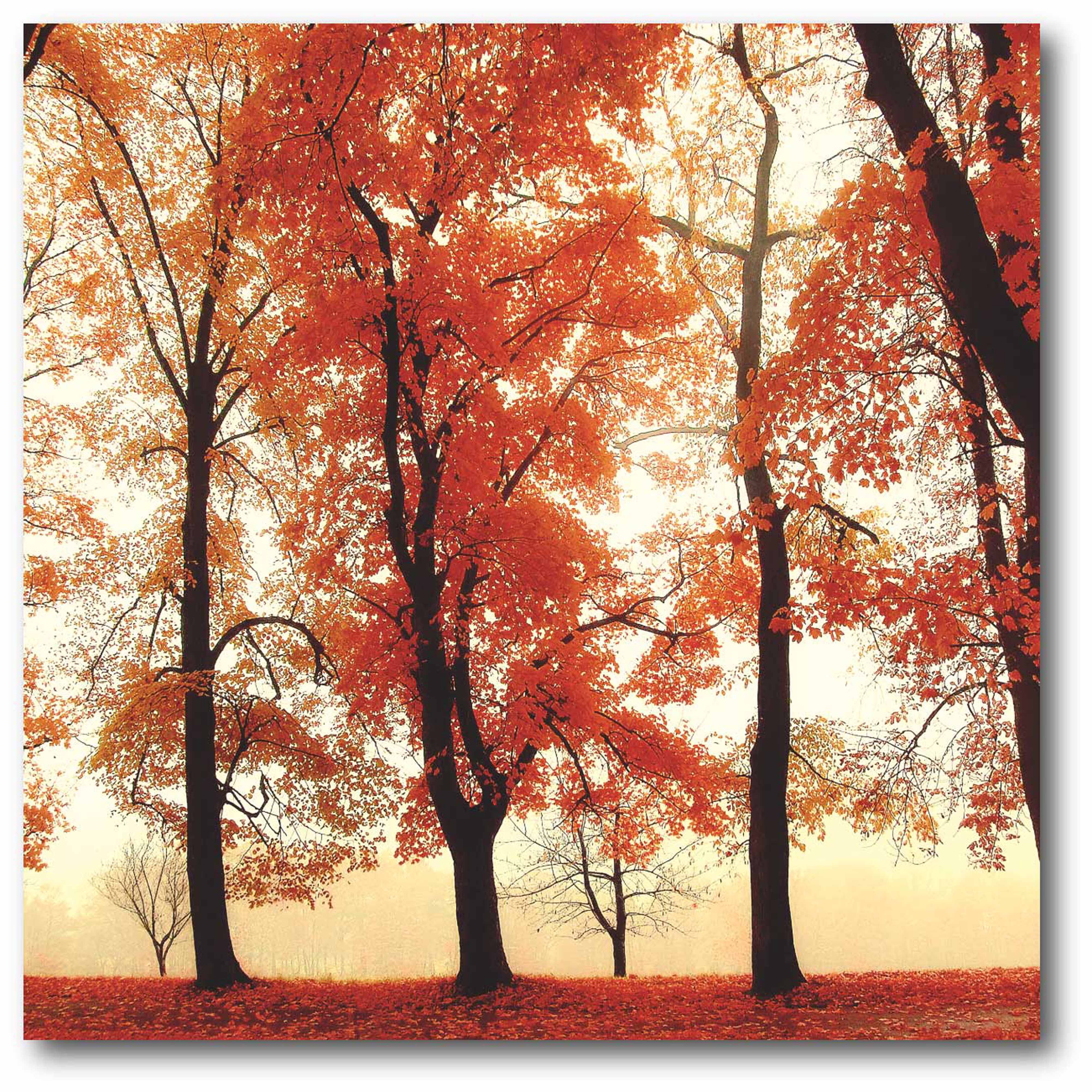 Autumnglow Gallery-Wrapped Canvas Wall Art, 16x16