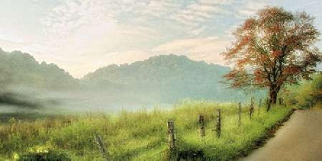 Autumns Aproach Canvas Art - D Burt (24 x 48)