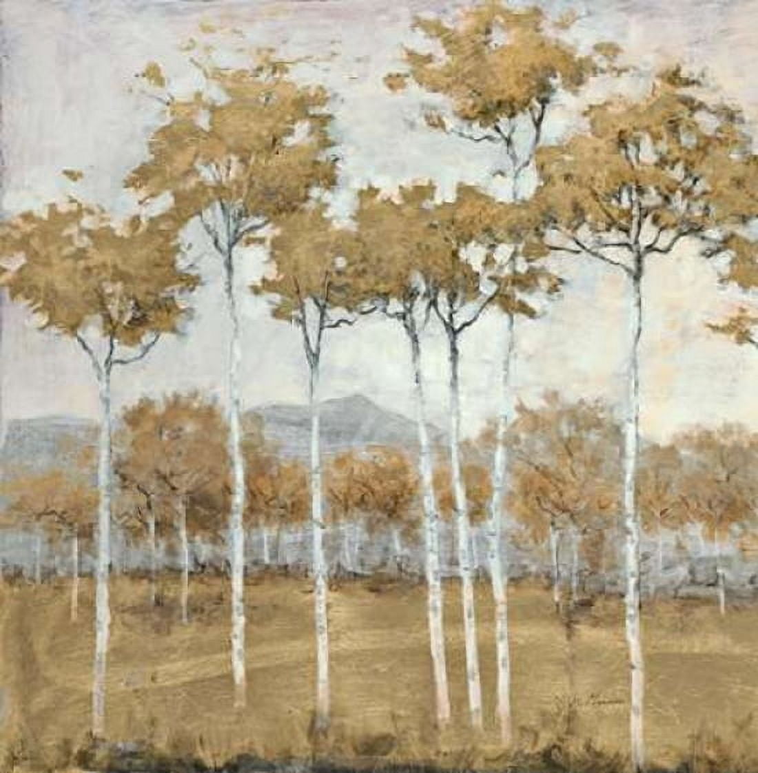 Autumns Gold 1 Canvas Art - Schultz McGannon (24 x 24)