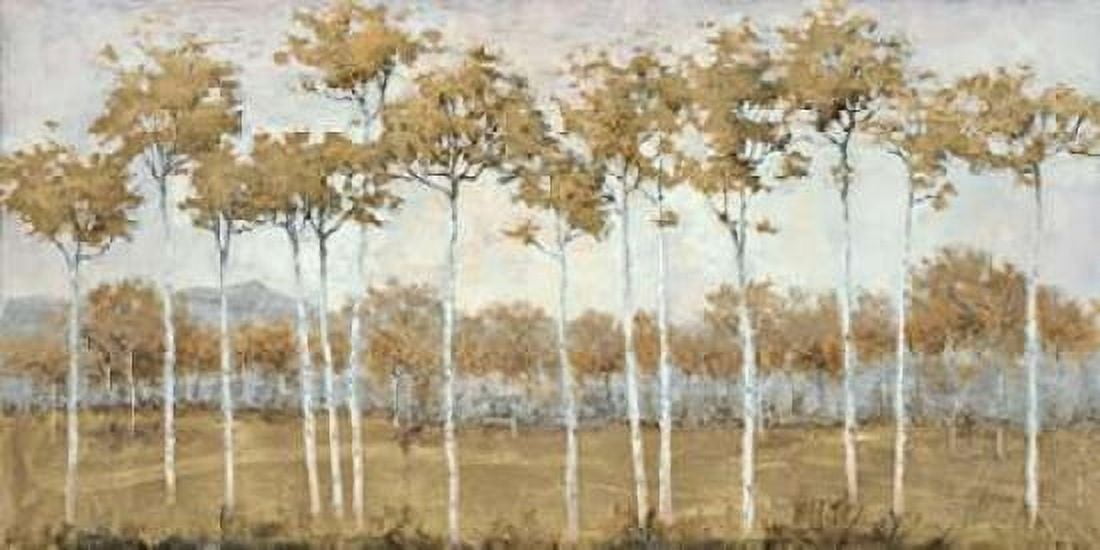 Autumns Golden Vista Canvas Art - Schultz McGannon (24 x 48)