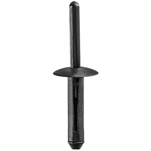 Auveco AVCAP18108 0.25 in. Dia. Pak Nylon Rivet