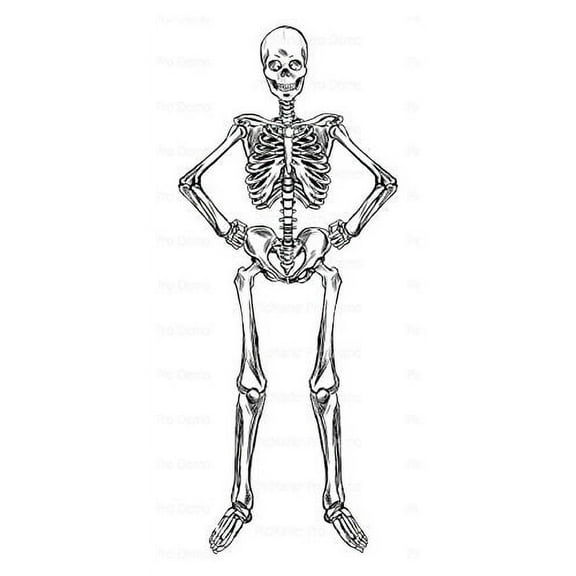 Available now! Skeleton Halloween Frosting Sheet Cake Topper Edible Image